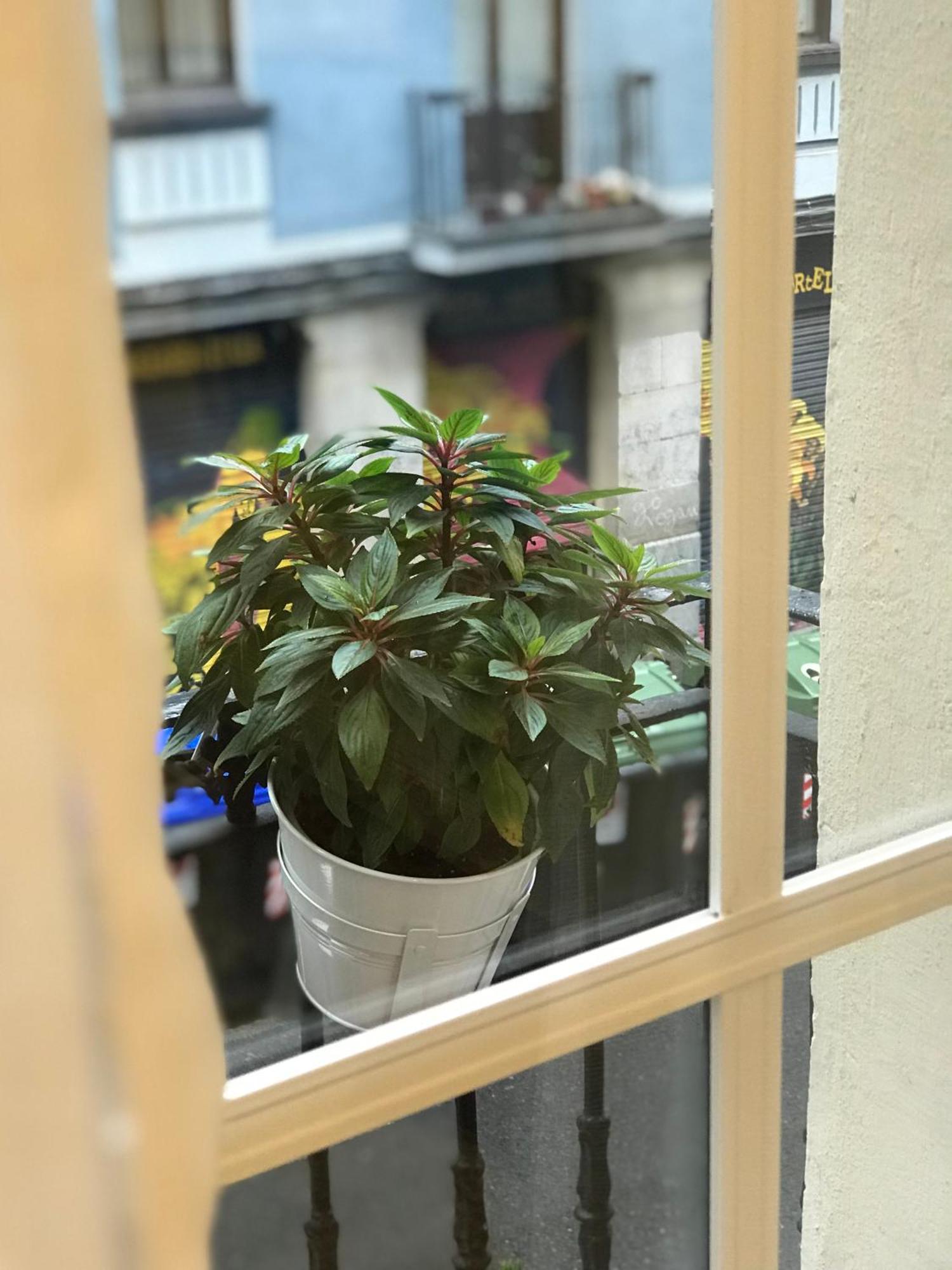 Appartement Fika Flat Casco Viejo Parking 15Euro X Dia à Bilbao Extérieur photo